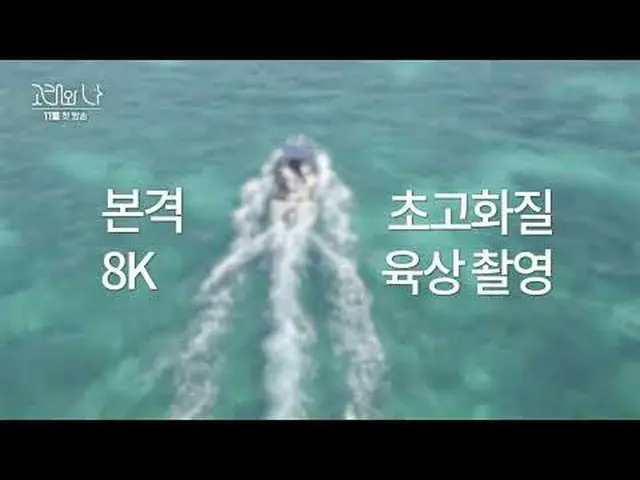 Program spesial SBS "The Whale and Me" ☞ Tayang perdana pada bulan November #SBS