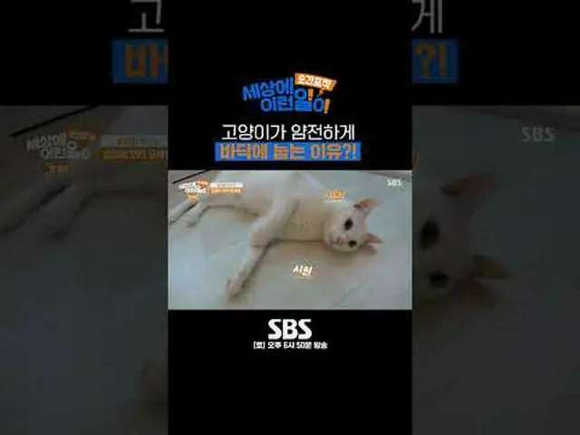 SBS "Mengabadikan momen seperti yang terjadi di dunia" ☞ [Sabtu] 18.50 #Itulah Y