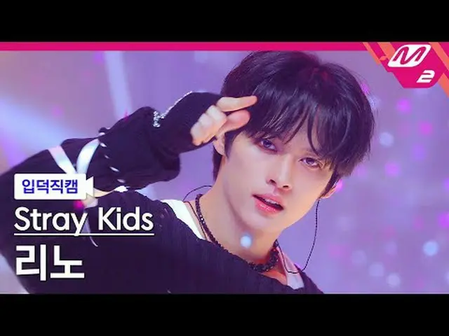 [Kamera Keluarga] Stray Kids Reno - Rock (乐) [Meltin' FanCam] Stray Kids_ _LEE K