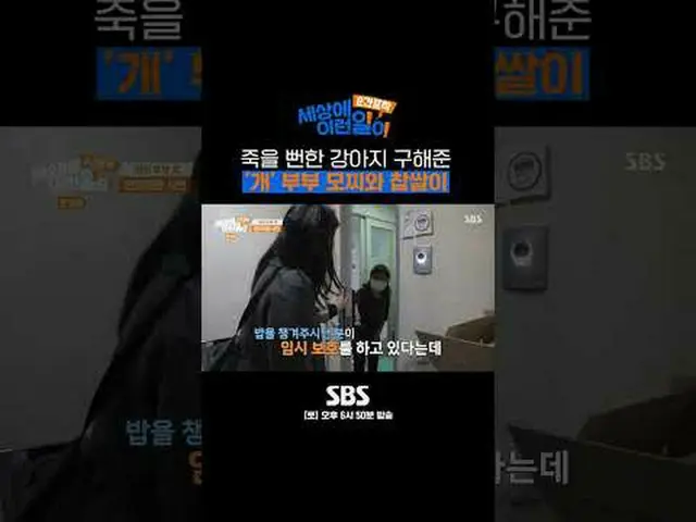 SBS "Mengabadikan momen seperti yang terjadi di dunia" ☞ [Sabtu] 18.50 #thisiswh