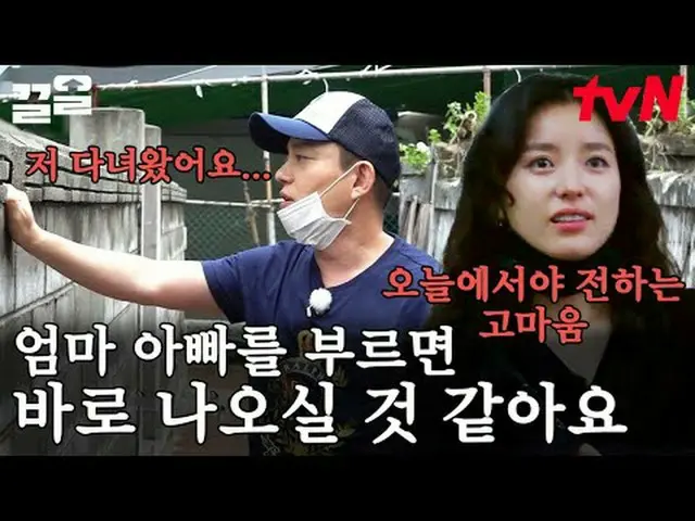 Langsung di TVING: #tvN #seoulhillbilly #Kkeol Menyebutkan program hiburan legen