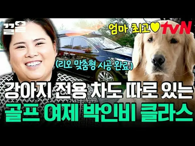 Langsung di TV: #tvN #Seekor ANJING PERLU BICARA #Keull Menyebutkan program hibu