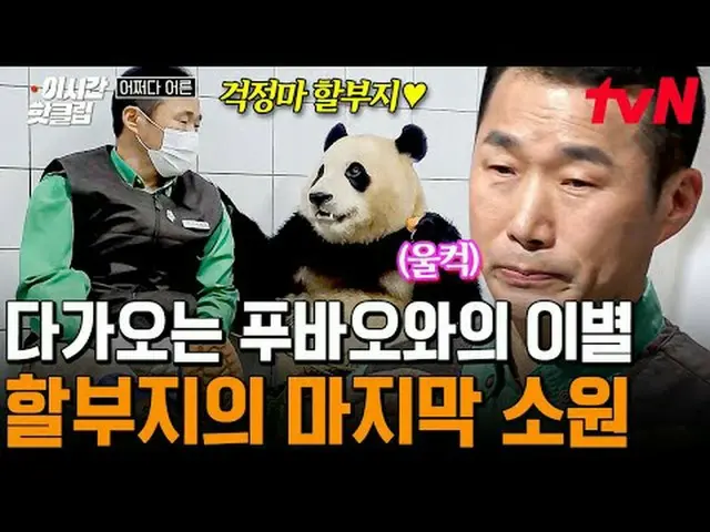 Langsung di TV: #tvNSTORY #Bagaimana saya tumbuh dewasa? Video populer saat ini 