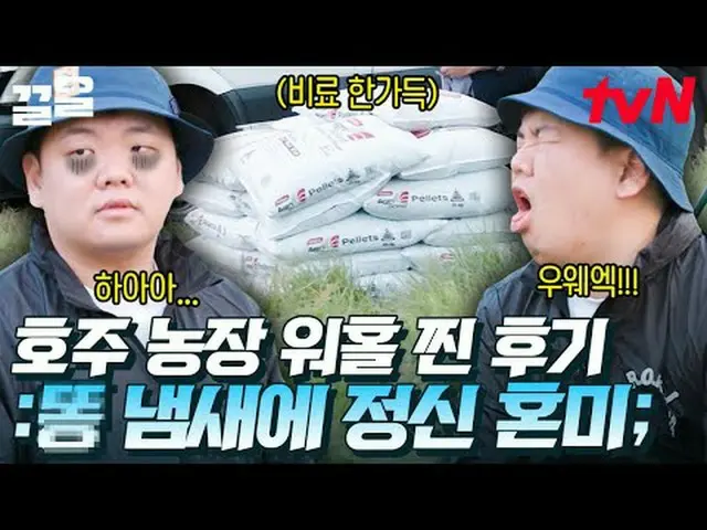 Langsung di TV: #tvN #Orang Desa Busan di Sydney #Bersih Menyebutkan program hib
