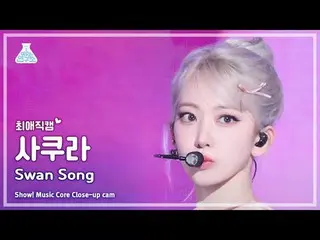 [#ChoiAeJikCam] LE SSERAFIM_ _ SAKURA (LE SSERAFIM_ Sakura) - Lagu Angsa | Etala