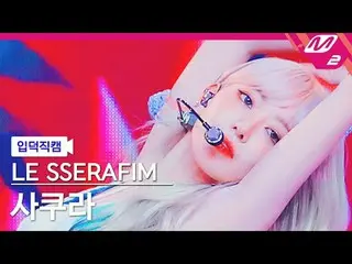 [Kamera Rumah] LE SSERFIM_ Sakura - Cerdas [FanCam Meleleh] LE SSERAFIM_ _ SAKUR