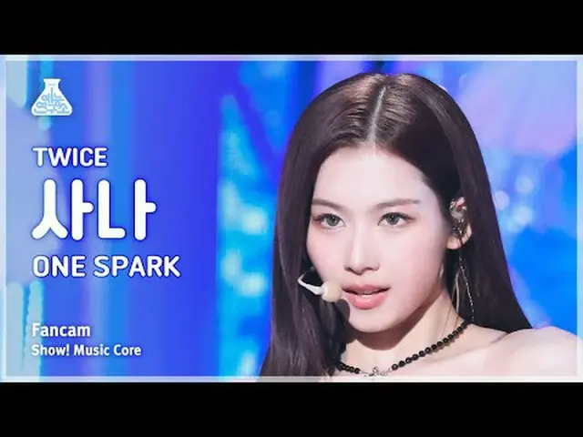 [Institut Penelitian Hiburan] TWICE_ _ SANA (TWICE_ Sana) - Kamera Penggemar ONE