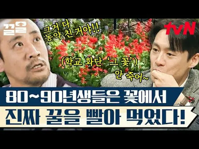 Langsung di TV: #tvN #Freehan19 #Kleol Menyebutkan program hiburan legendaris tv