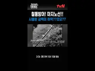 Langsung di TV: {Sejarah Dunia Telanjang> 【Selasa】tvN mengudara pukul 22:10 #Nak