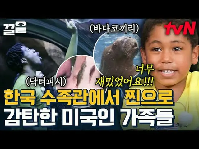 Langsung di TV: #tvN #Seoul Mate 3 #Kleol Menyebutkan program hiburan legendaris