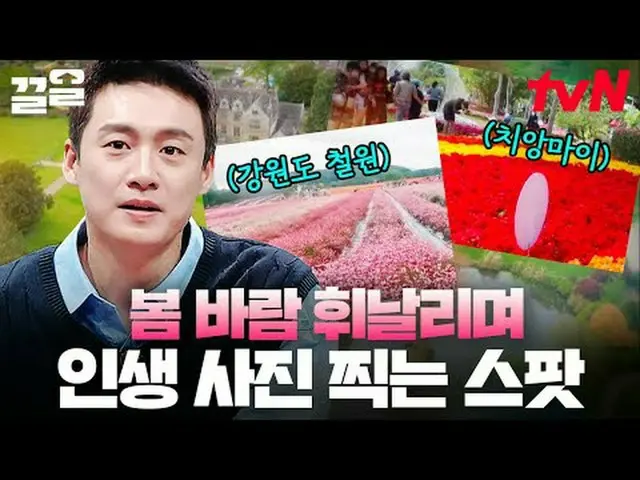 Langsung di TV: #tvN #Freehan19 #Kleol Menyebutkan program hiburan legendaris tv