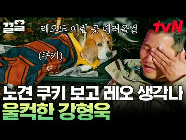 Langsung di TV: #tvN #lonetrainer#Kleol Menyebutkan program hiburan legendaris t