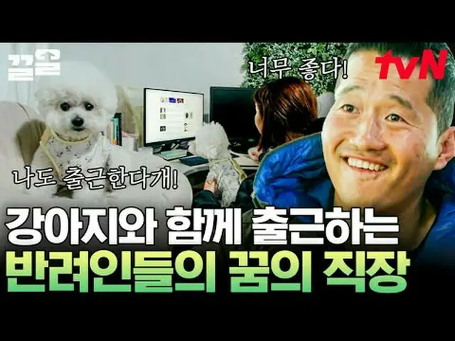 Langsung di TV: #tvN #lonetrainer#Kleol Menyebutkan program hiburan legendaris t