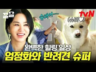 Langsung di TVING:

 #tvN #ONF_ #Kkeol
 Menyebutkan program hiburan legendaris t