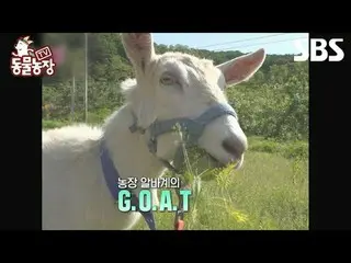 #Shindong Ye #Jeon SoNee（チョン・ソンヒ）_ #Tony An_ #Joy #Goat
 #TVAnimalFarm #AnimalFa