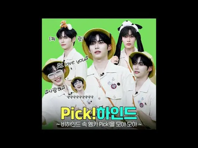 Mengapa video kucing terus bermunculan? hahahaha hahahaha M Countdown sudah dipe