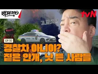 Langsung di TV:

 Orang yang menghasut Baek Jong-won~?
 Dapur adalah tempat kita