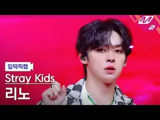 [Kamera Keluarga] Stray Kids Reno - Jjam
 [Meltin' FanCam] Stray Kids_ _LEE KNOW