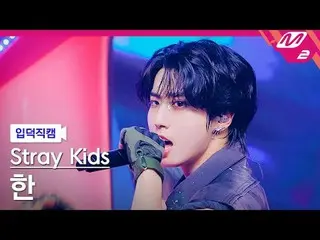 [Kamera Idiot] Stray Kids Han - Jjam
 [FanCam Meltin] Stray Kids_ _ HAN_ - JJAM
