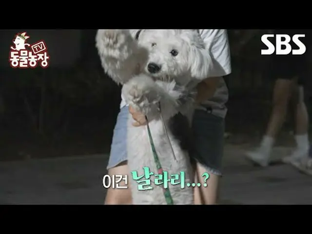 #Shindong Ye#Jeon SoNee（チョン・ソンヒ）_ #Tony An_ #Joy #Puppy #TVAnimalFarm #AnimalFar
