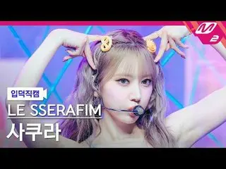 [Kamera Keluarga] LE SSERFIM_ Sakura - Gila
 [FanCam Meltin'] LE SSERAFIM_ _ SAK