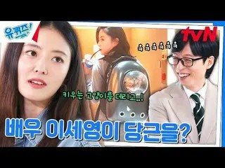 Langsung di TV:

 #YouQuiz #Yu Jae Suk_ #Jo Se-ho
 Kuis Anda di Blok EP.262
 #bu