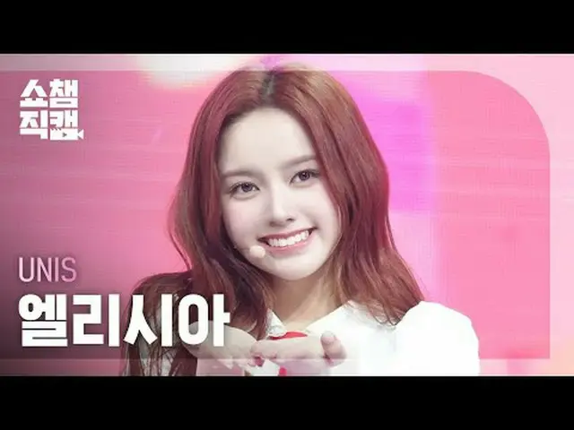 [Tampilkan Champion Kamera Langsung 4K] UNIS_ _ELISIA - SWICY (UNIS_ELISIA - SWI