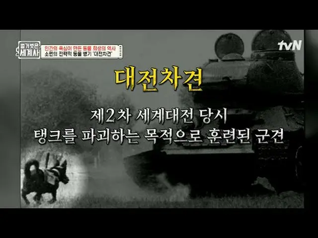 Streaming di Tiving: 200 kali | Sejarah pengorbanan hewan yang disebabkan oleh k