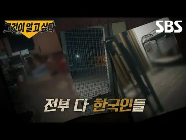 #SBSCurrentAffairs #SBSCulture #SayaInginTahu #PertanyaanYangBelumDijawab #YangT