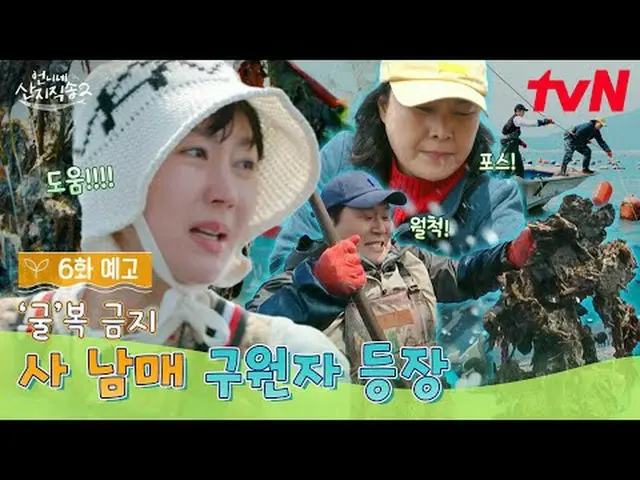 Streaming di Tiving: 【Pengiriman Langsung Kakak 2】 ✔ [Minggu] 19:40 tvN #tvN #Si