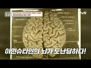 Streaming di Tiving:

 Episode 202 | Rahasia kehidupan Einstein tidak terungkap 