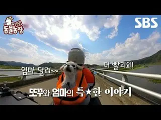 #Shin Dongye #Jeon Soni #Antony #Joy #Puppy #Ttokku
 #TVAnimalFarm #AnimalFarm #