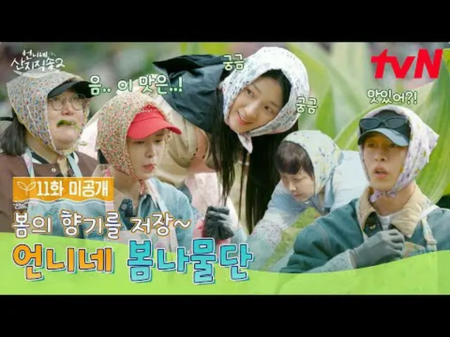 Streaming di Tiving: 【Pengiriman Langsung Kakak 2】 ✔ [Minggu] 19:40 tvN #tvN #Si