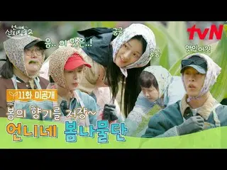 Streaming di Tiving:

 【Pengiriman Langsung Kakak 2】
 ✔ [Minggu] 19:40 tvN

 #tv