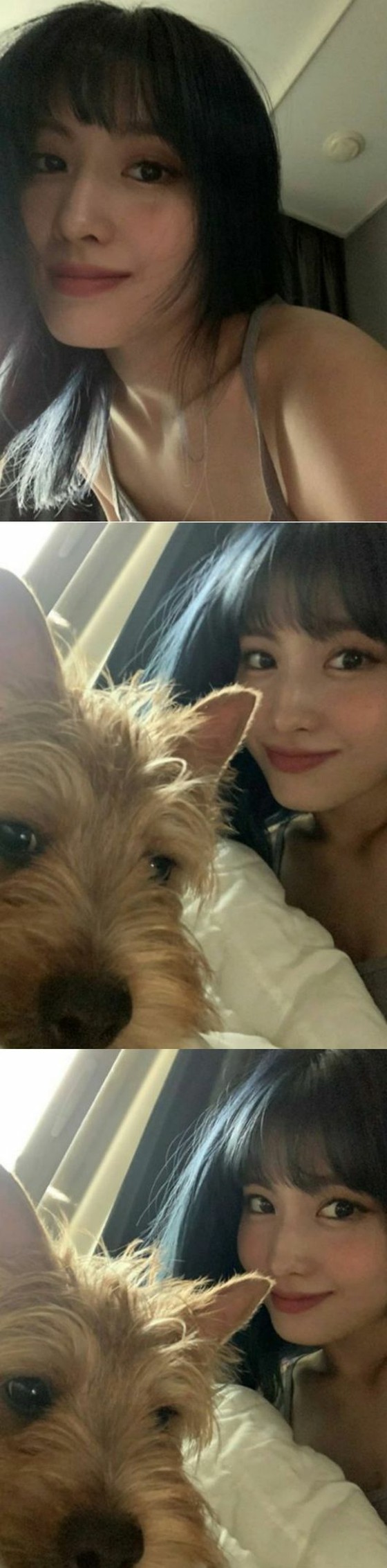 "TWICE" Momo mendorong indahnya "waktu rumah" = "Di luar futon itu berbahaya"