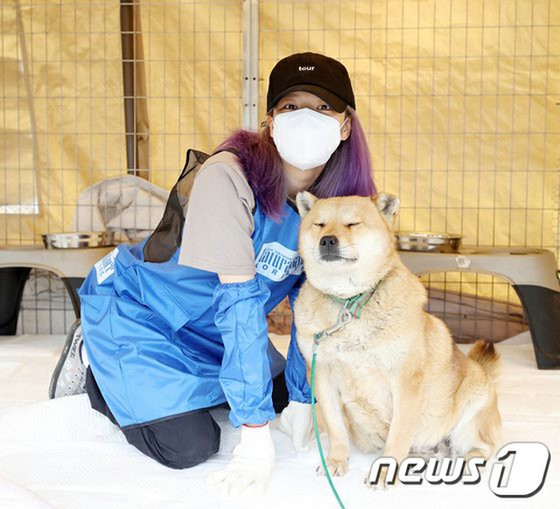 Fan club luar negeri Jeongyeon "TWICE" menyumbang untuk anjing terlantar pada hari ulang tahun Jeongyeon
