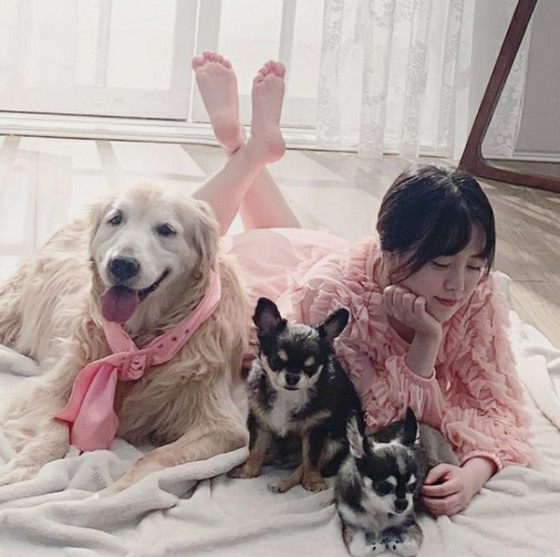 Aktris Ku Hye sun mengambil foto keluarga sambil melindungi ujung anjingnya