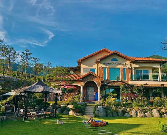 Kangnam menghabiskan hari yang tenang dengan anjingnya di rumah orang tuanya Lee Sang Hwa ... "Picture-Landscape"