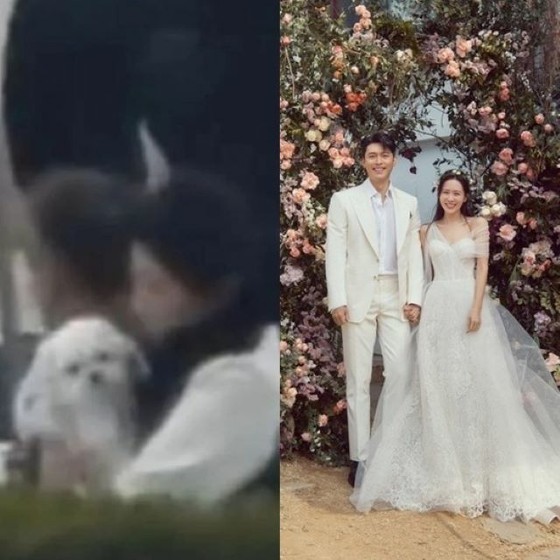 Aktris Song YEJI dan Hyun Bin menghadiri upacara pernikahan dengan anjing mereka di Hot Topic ... Gong Hyo Jin memeluknya dan mengawasi "Mama"