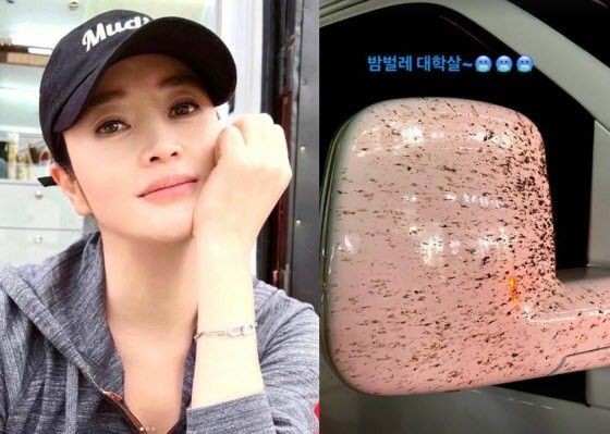 Aktris Kim Hye Soo terkejut dengan kondisi mobil yang mengerikan ... Terkejut dengan "genosida" yang tertinggal di kaca spion