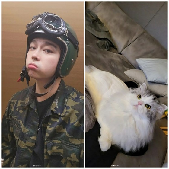 Kucing yang terobsesi dengan bintang! Dari JUNHO (2PM), Hee-chul (SUPER JUNIOR) hingga Park Sin Hye... Ringkasan pecinta kucing yang mewakili dunia hiburan