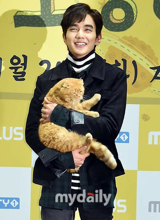 Kucing yang terobsesi dengan bintang! Dari JUNHO (2PM), Hee-chul (SUPER JUNIOR) hingga Park Sin Hye... Ringkasan pecinta kucing yang mewakili dunia hiburan