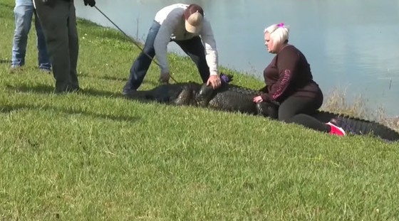 Wanita AS meninggal setelah diseret ke dalam air saat berjalan-jalan dengan anjingnya