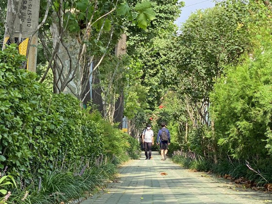 Seoul membangun 100.000m jalan dengan pepohonan untuk mengurangi debu halus = Korea Selatan