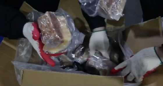Korea Selatan mengecam kelompok yang menyelundupkan 4 ton 'daging paus' dari Jepang dengan menyamar sebagai 'kamaboko'