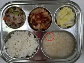 Sekolah TK merilis foto makan siang sekolah yang menunjukkan larva ditemukan di dalamnya (Korea Selatan)