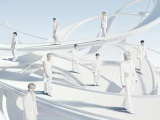 Dua penonton terluka setelah petasan jatuh menimpa penonton di konser SEVENTEEN