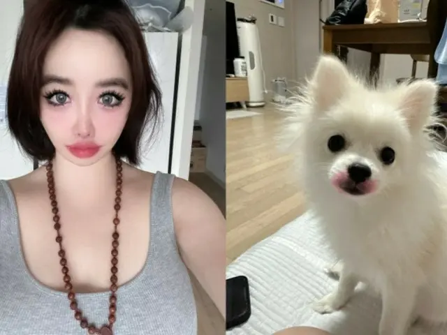 BOM (2NE1) sebutkan nomor telepon dan jumlah uang yang sangat besar dalam gugatan terhadap Yang Hyun-suk... "Khawatir" setelah memamerkan anjing peliharaannya dengan lipstik