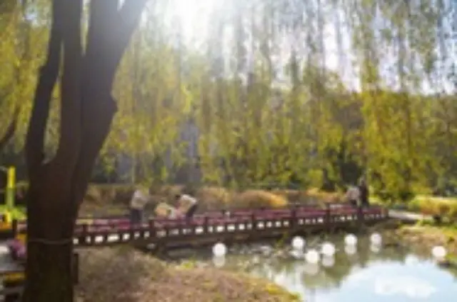 韓国の秋を満喫できる森林、京畿観光公社が紹介＝韓国