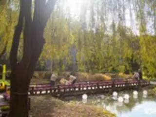 Organisasi Pariwisata Gyeonggi memperkenalkan hutan tempat Anda dapat menikmati musim gugur di Korea (Korea)